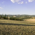 Tuscan landscape in autumn Royalty Free Stock Photo