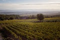 Tuscan landscape