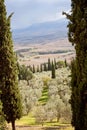 Tuscan landscape