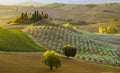 Tuscan landscape.Beautiful Tuscan morning Royalty Free Stock Photo