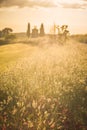 Tuscan landscape with a chapel at sunset Royalty Free Stock Photo