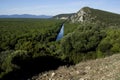 Tuscan landscape with cluster pines Royalty Free Stock Photo