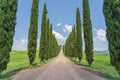 Tuscan Landscape, Cypress Alley of Agriturismo Covili, the Farmhouse Poggio Covili in Tuscany, Italy