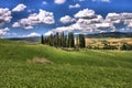 Tuscan landscape with cypress trees Royalty Free Stock Photo