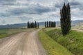 Tuscan landscape with green rolling hills and cypress trees, Italy Royalty Free Stock Photo