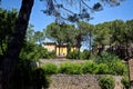 Landscape house tree San Gimignano, Tuscany, Toscana, Italy, Italia