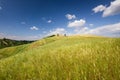 Tuscan landscape near Certaldo (Florence, Italy) Royalty Free Stock Photo