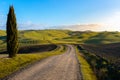 Tuscan landscape with green rolling hills and cypress trees, Italy Royalty Free Stock Photo