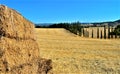 lanscape in tuscany with cypress Royalty Free Stock Photo