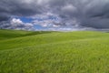 Tuscan landscape Siena hills Royalty Free Stock Photo