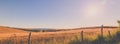 Tuscan panorama Royalty Free Stock Photo