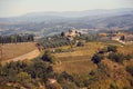Tuscan panoramic banner landscape with vineyards, houses in Tuscany, Italy, Europe Royalty Free Stock Photo