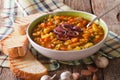 Tuscan ribollita thick soup with bread close up on the table. ho Royalty Free Stock Photo