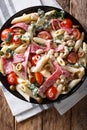 Tuscan salad of penne pasta with salami, and vegetables with cream sauce close-up. Vertical top view Royalty Free Stock Photo