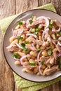Tuscan salad with tuna, onions and white beans close-up in a plate. vertical top view Royalty Free Stock Photo