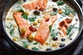 Tuscan salmon with cream sauce on a black dish Royalty Free Stock Photo