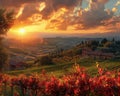 Tuscan Sun Melting into Rolling Hills of Vineyards The sunset blurs with the vines Royalty Free Stock Photo