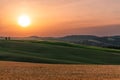 The Tuscan sunset highlights the most beautiful natural colors of the region. Yellow field in the foreground, a green meadow Royalty Free Stock Photo