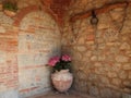 Tuscan terracotta flower pot Royalty Free Stock Photo