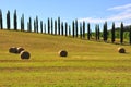 Tuscan traditional fields , Italy Royalty Free Stock Photo