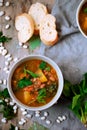 Tuscan white bean and butternut squash soup.style rustic Royalty Free Stock Photo