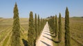 Tuscany, aerial landscape of a cypress avenue near the vineyards