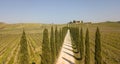 Tuscany, aerial landscape of a cypress avenue near the vineyards