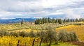 Tuscany Autumn Countryside Landscape in San Casciano in Val di Pesa Royalty Free Stock Photo