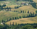 TUSCANY countryside, devious street with cypress