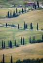 TUSCANY countryside, devious street with cypress Royalty Free Stock Photo