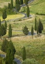 TUSCANY countryside, devious street with cypress Royalty Free Stock Photo