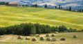 Tuscany countryside with farm and hayball Royalty Free Stock Photo