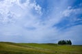 TUSCANY countryside, landscape with cypress Royalty Free Stock Photo