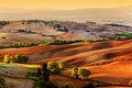 Tuscany countryside landscape at sunrise, Italy Royalty Free Stock Photo