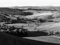 Tuscany countryside panorama in the morning, black and white Royalty Free Stock Photo