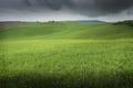 Tuscany, Crete Senesi rural sunset landscape Royalty Free Stock Photo