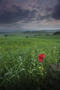 Tuscany, Crete Senesi rural sunset landscape Royalty Free Stock Photo