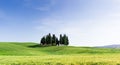 Tuscany, cypress trees Royalty Free Stock Photo