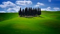 Tuscany famous cypress trees with blue sky and sunny spring day Royalty Free Stock Photo