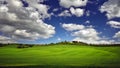 Tuscany famous cypress trees with green fields and farmers home Royalty Free Stock Photo