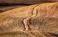 Tuscany fields autumn landscape, Italy. Harvest season Royalty Free Stock Photo