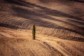 Tuscany fields autumn landscape, Italy. Harvest season Royalty Free Stock Photo