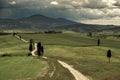 Tuscany fields with Cyprysses