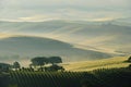 Tuscany hills