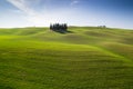 Tuscany hills after sunrise - beautiful curves Royalty Free Stock Photo