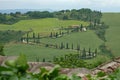 Tuscany, Italy Cypress Trees Lining a Road Royalty Free Stock Photo