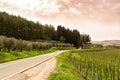 Tuscany, Italy, famous State Chianty Road 222 or a Chiantigiana Strada del Vino