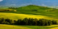 Tuscany, Italy landscape. Super high quality panorama taken at wonderful sunrise. Vineyards, hills, farm house Royalty Free Stock Photo