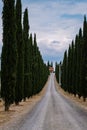Tuscany Italy, Perfect Road Avenue through cypress trees ideal Tuscan landscape Royalty Free Stock Photo