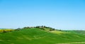 Tuscan landscape with cypress trees,Tuscany, Italy Royalty Free Stock Photo